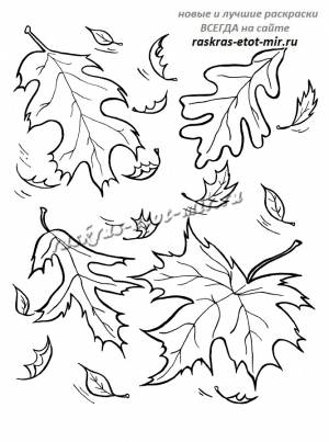 Раскраски осенние листья
