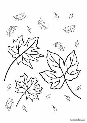 Раскраска Большие красивые осенние листья
