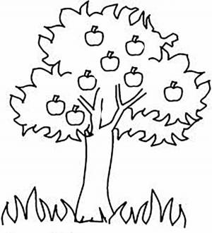 Раскраски Дерево для детей 2 3 лет
