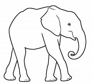 Раскраски Слон индийский и африканский