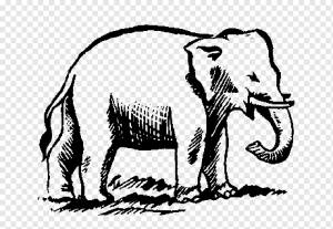 Индийский слон Африканский слон Символ Книжка-раскраска, белый слон, млекопитающее, животные, хищник png