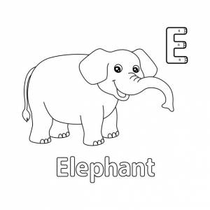 Раскраска слон с буквами abc