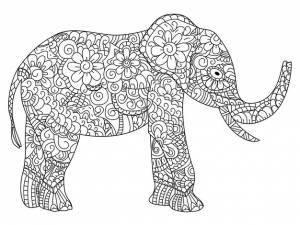 Вектор раскраски слона для взрослых