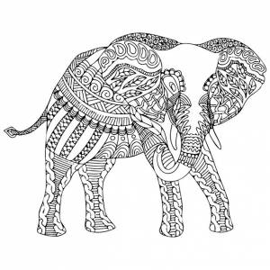 Слон раскраски