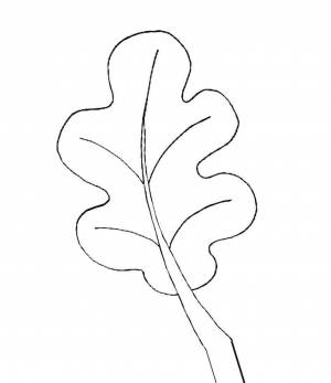 Раскраски Раскраска Лист дуба дубовый лист