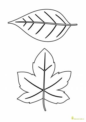 Трафареты листьев для вырезания а4   и