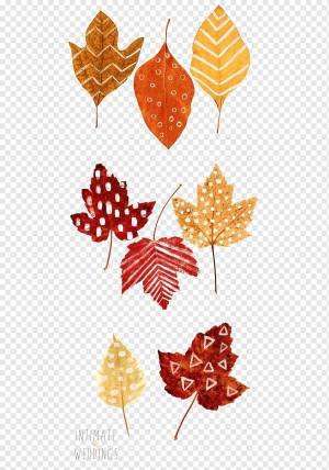 Цвет благодарения Осенний лист Место карты Рисунок, Осенние листья, шаблон, лист, этикетка png