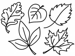 Раскраски Раскраска трафарет осенний лист растения, Раскраска Листочки растения