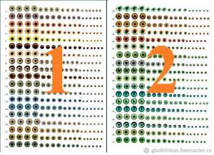 Радужка глаз