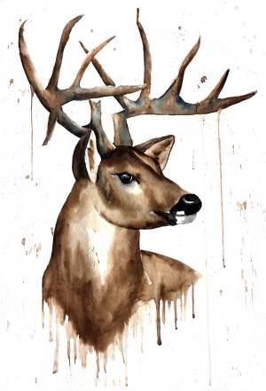 Глаза оленя