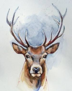 Оленьи глаза