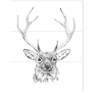 Глаза оленя