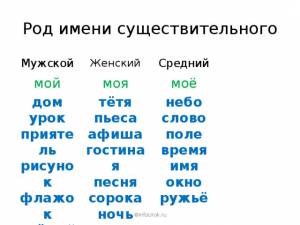 Род имени существительного