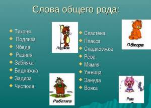 Как определить род имени существительного