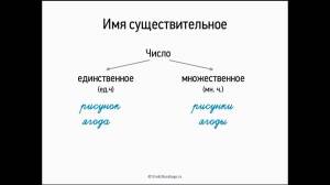 Имя существительное