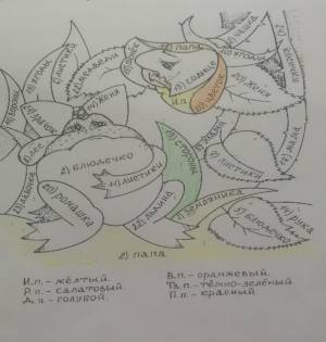 Раскраска падежи