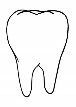 Раскраски, раскраска зуб