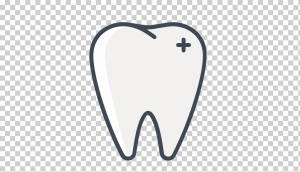 Человеческий зуб Рисунок Раскраска, одуванчик, угол, белый, сердце png