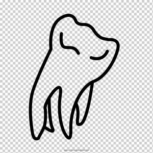 Книжка-раскраска Рисунок Мандала Зуб мудрости Line art, Зуб мудрости, любовь, белый, млекопитающее png