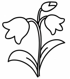 Раскраска Яркий колокольчик