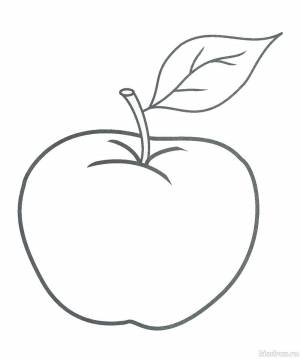 Раскраски для малышей 2-3-4 лет