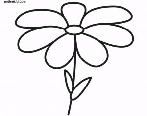 Раскраски для детей 2-4 лет, для маленьких  с фото