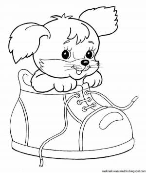 Раскраски Для детей 5 6 лет для девочек