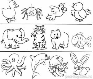 Раскраска с заданием для детей дошкольного возраста