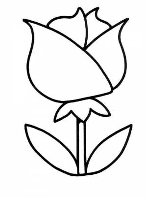 Раскраски для детей 3 лет   в формате