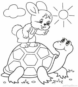 Раскраски лето состав