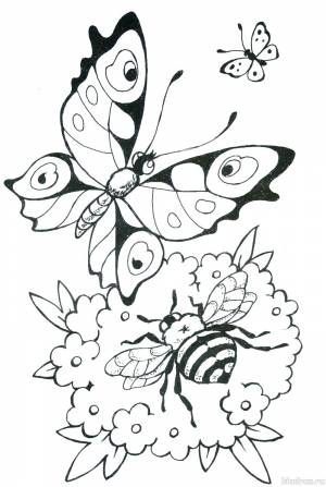 Раскраски нас, Раскраска для детей Лето насекомые Лето