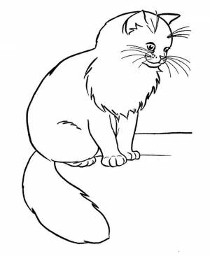 Раскраска кошка для детей быстро