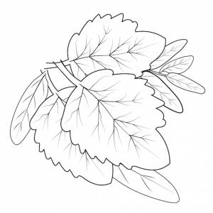 Простые музеи, милые осенние раскраски осенние раскраски для взрослых рисунки осенних листьев