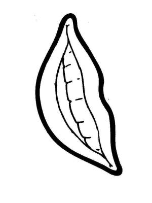 Раскраски Губы