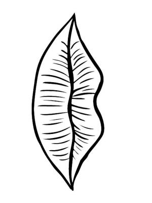 Раскраски Губы