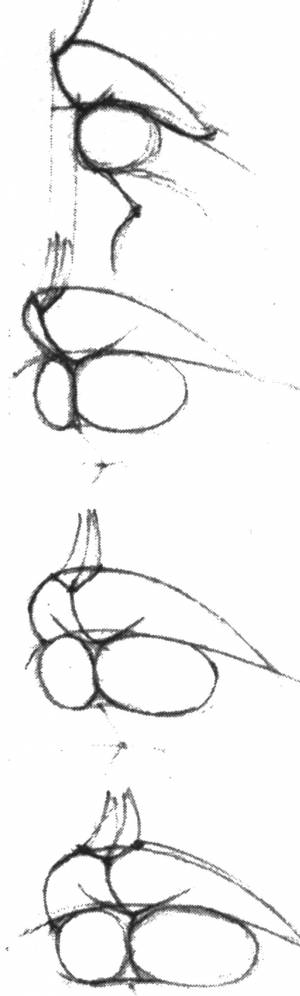 Рисунок деталей головы