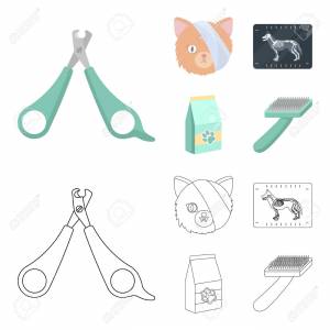 Scissors, Cat, Bandage, Wounded