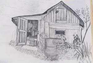 Дом баня растения