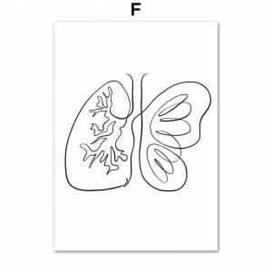 Минималистичный анатомический рисунок мозга, кишечника, сердца, ушей, легких, медицинские плакаты и принты, настенная живопись на холсте, доктор, подарок, декор для клиники