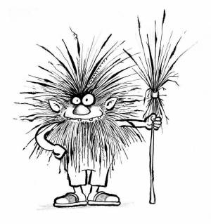 Раскраски Финик домовой