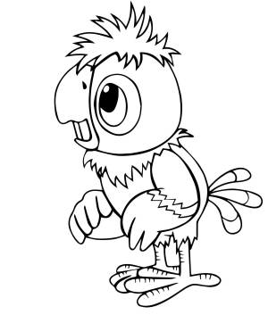 Раскраска финик домовой