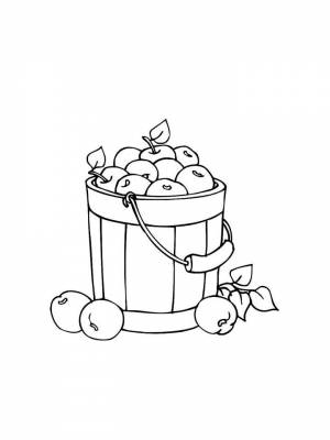 Раскраска Ведро  листе  онлайн