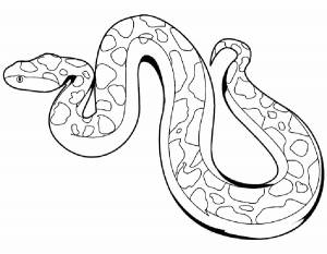 Раскраска Змея