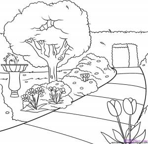 Рисунок сада легкий карандашом для начинающих поэтапно