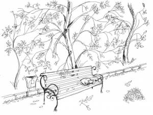 Раскраска Осенний парк