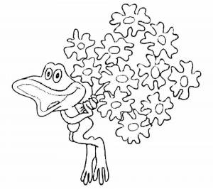 Раскраски Дюдюка барбидокская