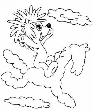 Раскраски Дюдюка барбидокская