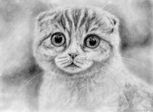 Рисунок карандашом
