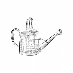 Лейка рисунок