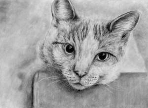 Рисунок карандашом